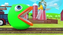 Learn Colors with PACMAN and Farm WaterMelon Tractor Duck Street Vehicle for Kids Children