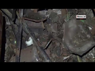 Hujan Deras dan Angin Kencang, Pohon Tumbang Timpa Rumah di Ponorogo