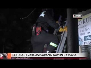 Begini Aksi Petugas Damkar Evakuasi Sarang Tawon Raksasa di Gowa