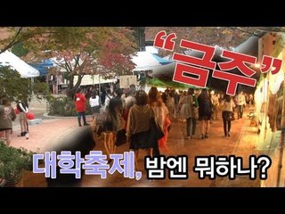 NocutView - "금주" 대학축제, 밤엔 뭐하나?