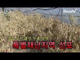 NocutView - 구미 불산 피해 '특별재난지역' 선포