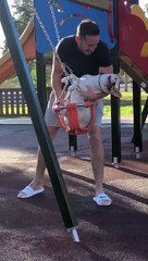 Pup Plays at the Park