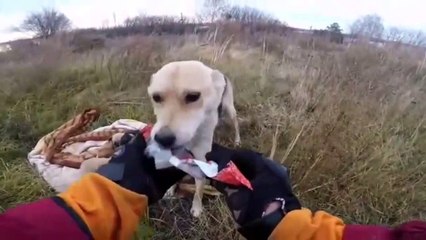 Rider Rescues Precious Puppy in Russia