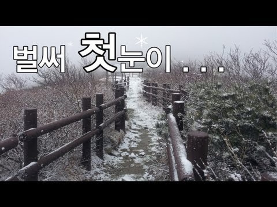 NocutView - 벌써 첫눈이...