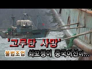 NocutView - '고무탄 사망' 불법조업 쇠꼬챙이 중국어선이...
