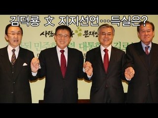 NocutView - 김덕룡 文 지지선언...득실은?
