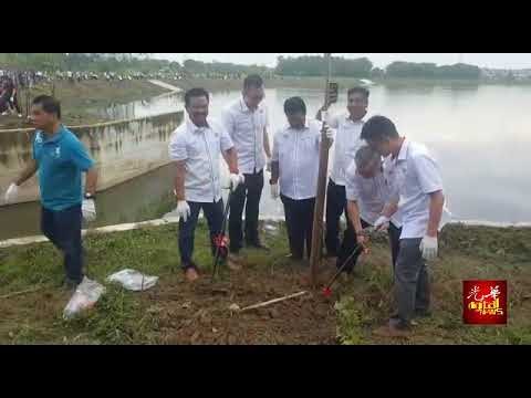 威省13点同步种3002风铃木 缔造大马记录