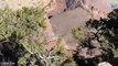 Une femme a frôlé une terrible chute dans le Grand Canyon