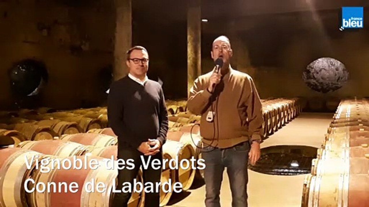 Au Coeur des Vignes - Vignoble des Verdots