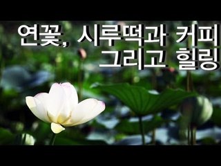 [두 남자의 데이트 코스] 연꽃, 시루떡과 커피 그리고 힐링