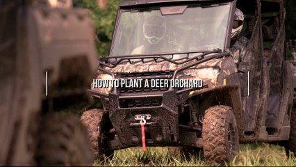 How to Plant a Deer Orchard