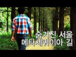 [두 남자의 데이트 코스] 숨겨진 서울 메타세쿼이아 길