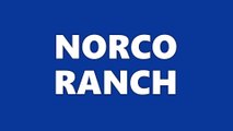 Norco Ranch: EGGS, EGGS, EGGS! WE LOVE EGGS!