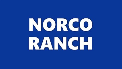 Norco Ranch: EGGS, EGGS, EGGS! WE LOVE EGGS!