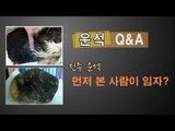 [NocutView] 운석 Q&A 먼저 본 사람이 임자?