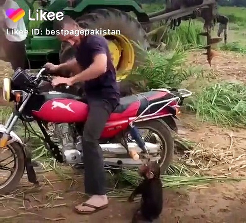 Funny