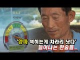 [NocutView] 농민들 '양파 썩히는게 차라리 낫다' 늘어나는 한숨들...