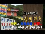 [NocutView] 식당과 휴양시설 난립... 하늘 아래 첫 동네 맞나