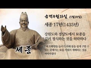 [오늘의 조선왕조실록] 음력 4월 16일(5월 14일)