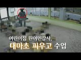 [NocutView] 어린이집 원어민강사, 대마초 피우고 수업