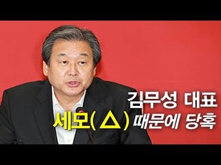 [돌발음향] 김무성 대표, 세모(△) 때문에 당혹