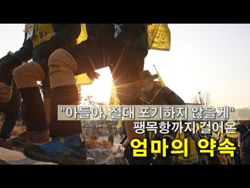 [NocutView] "아들아, 절대 포기하지 않을게" 팽목항까지 걸어온 엄마의 약속