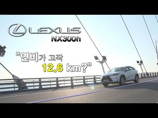 [뉴 레알시승기]렉서스 NX300h "연비가 고작 12.6 km 라고?"