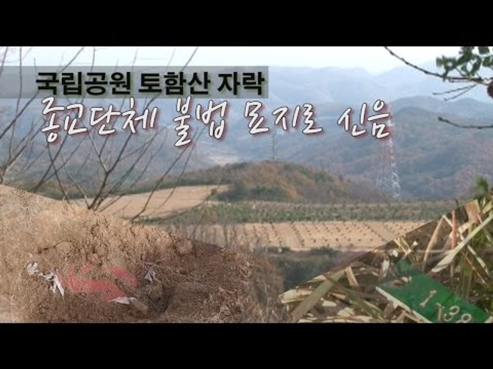 [NocutView] 국립공원 토함산 자락, 종교단체 불법 묘지로 신음