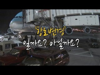 이게 '회항'일까요 아닐까요...'땅콩회항' 당시 영상