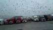 Des milliers d'oiseaux envahissent les toits de camions sur une aire d'autoroute !