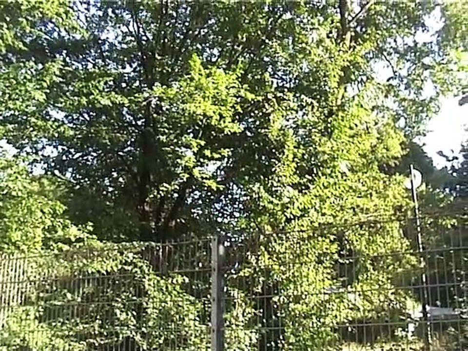 Telekom-Gelände Marsstraße, München 2019