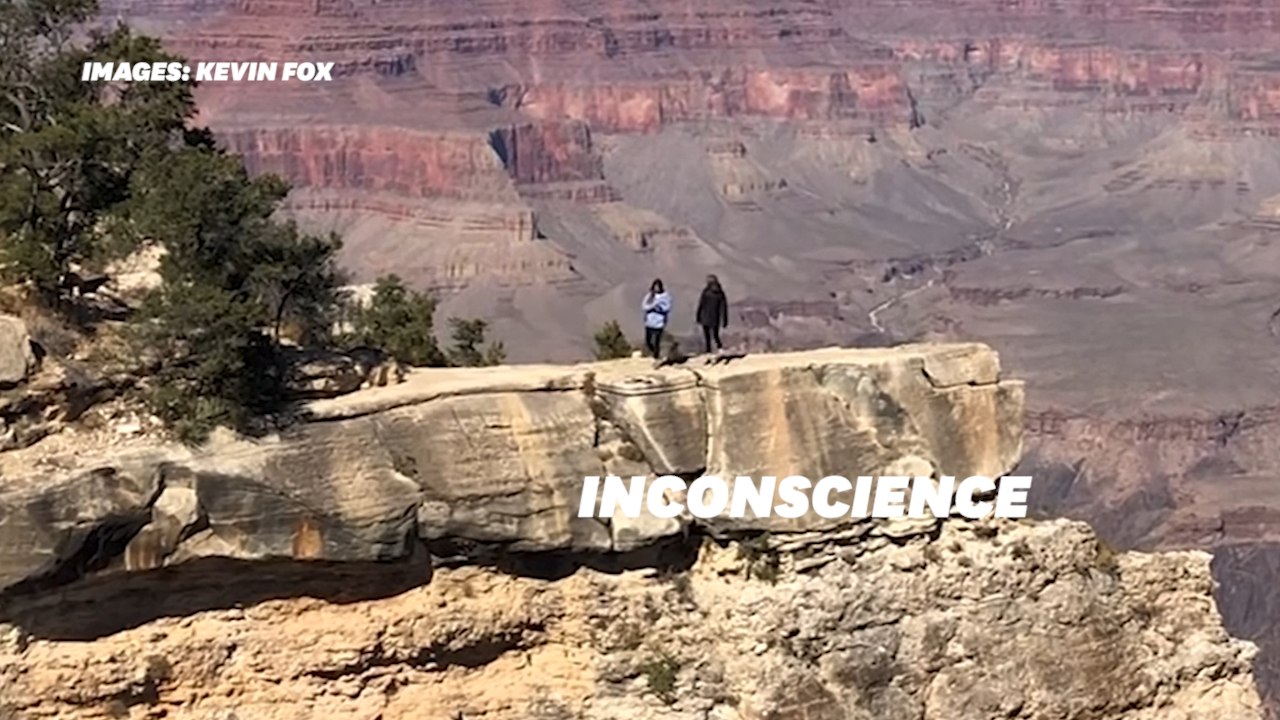 Ces images sont la preuve que les selfies en pleine nature sont dangereux