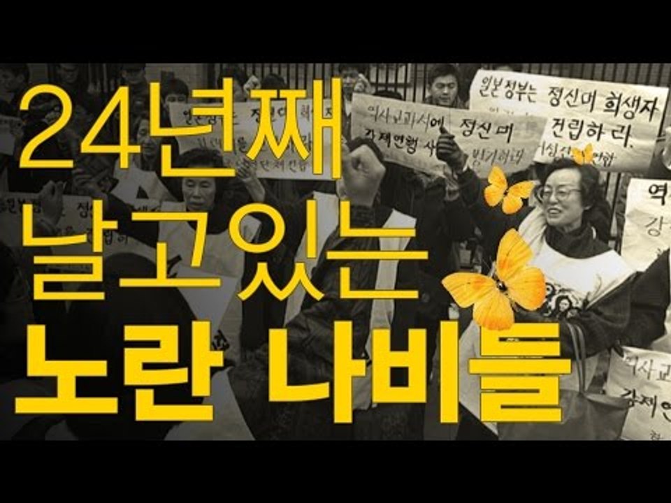 24년째 날고있는 노란 나비들