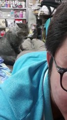 Kitty Enjoys Being a Masseuse