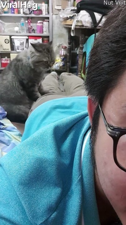 Kitty Enjoys Being a Masseuse