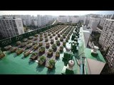 [영상] 유쾌한 청정 공간 '옥상'의 재발견