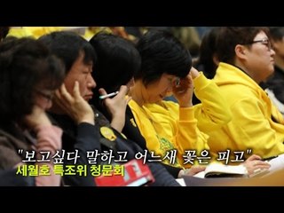 "보고싶다 말하고 어느새 꽃은 피고"…세월호 특조위 청문회