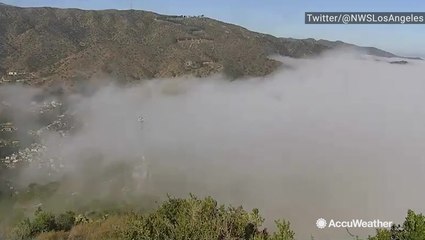 Dense fog sweeps across the city