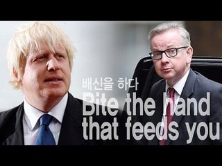 Bite the hand that feeds you - 배신을 하다, 배은망덕 하다