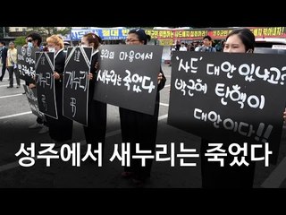"새누리는 죽었다" 성주에 울려 퍼진 곡소리