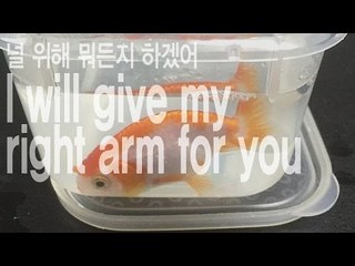 I will give my right arm for you - 널 위해 뭐든지 하겠어