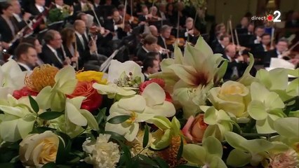 Concert du Nouvel An de Vienne 2019 - Deuxième partie 2/2 - Benoît Duteurtre - France 2