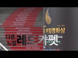 부산국제영화제 VS 부일영화상, 사뭇 다른 '레드카펫'