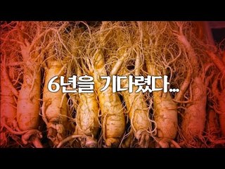 6년을 기다렸다 나는 '홍삼'이다