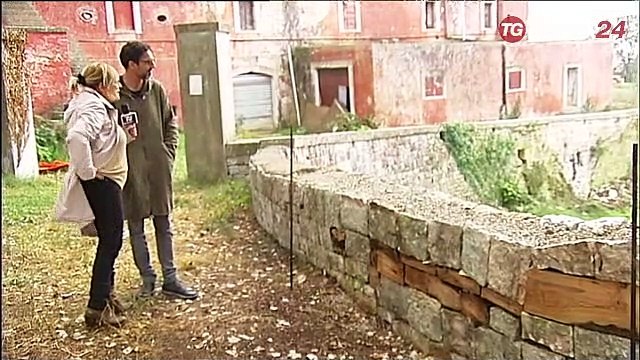 Alberobello, muretti ''a secco d'ulivo''