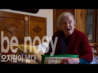 be nosy - 오지랖이 넓다