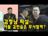 김정남 피살…아들 김한솔은 무사할까?