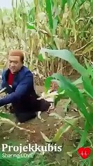 Këtij njeriu i mungojnë dy këmbët, por kurrë nuk ndalet duke punuar!