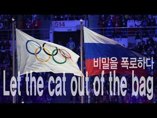 Let the cat out of the bag - 비밀을 폭로하다