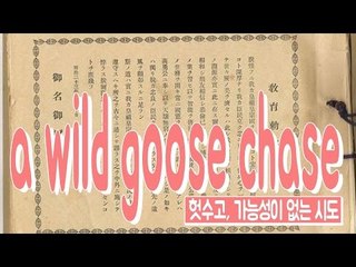 a wild goose chase - 가능성이 없는 시도